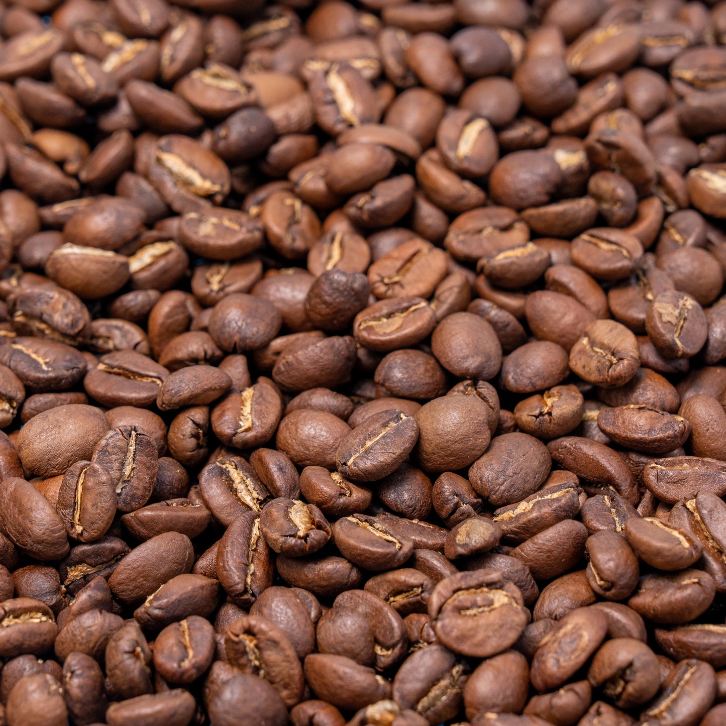Café Tostado: Chiapas Americana