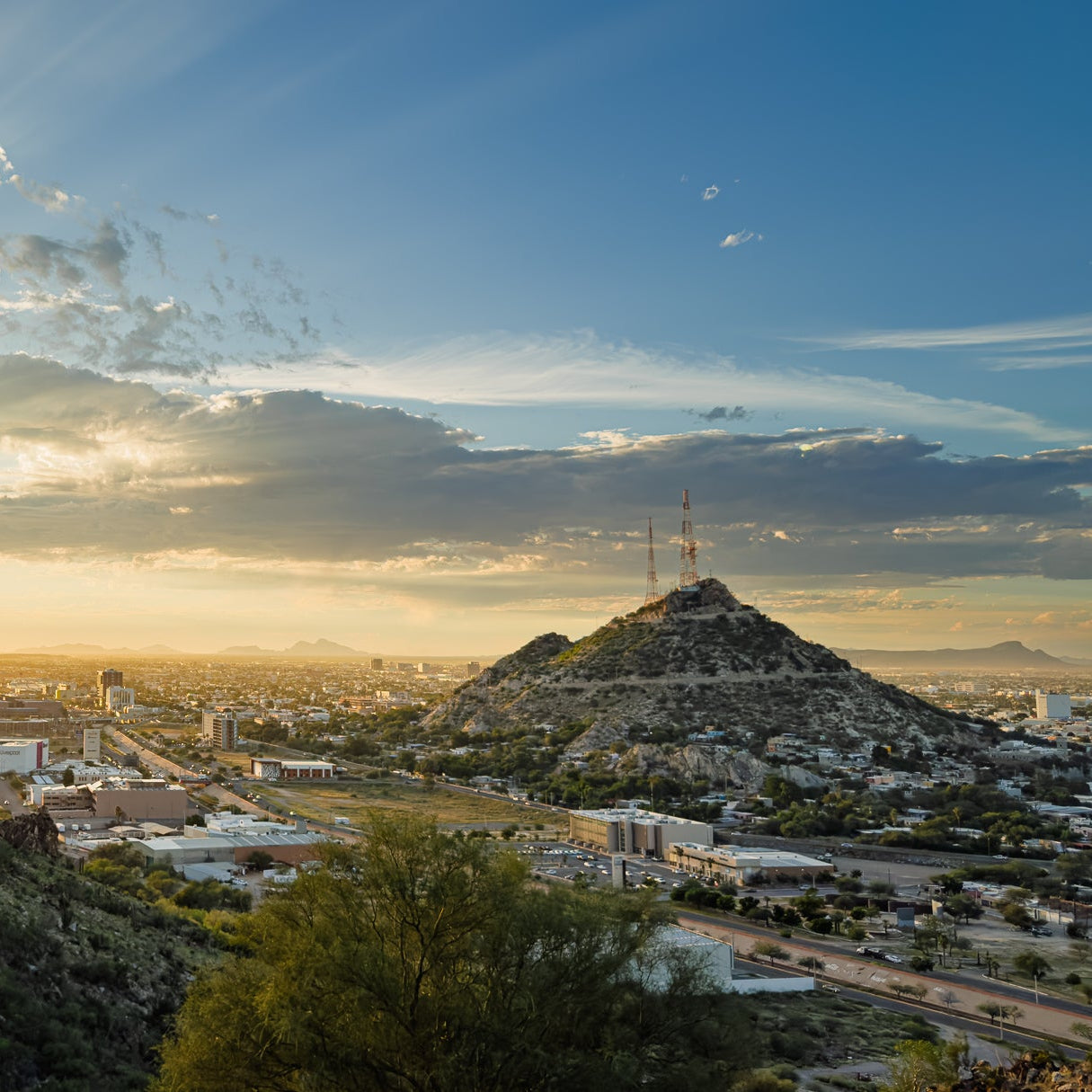 Café tostado en Hermosillo
